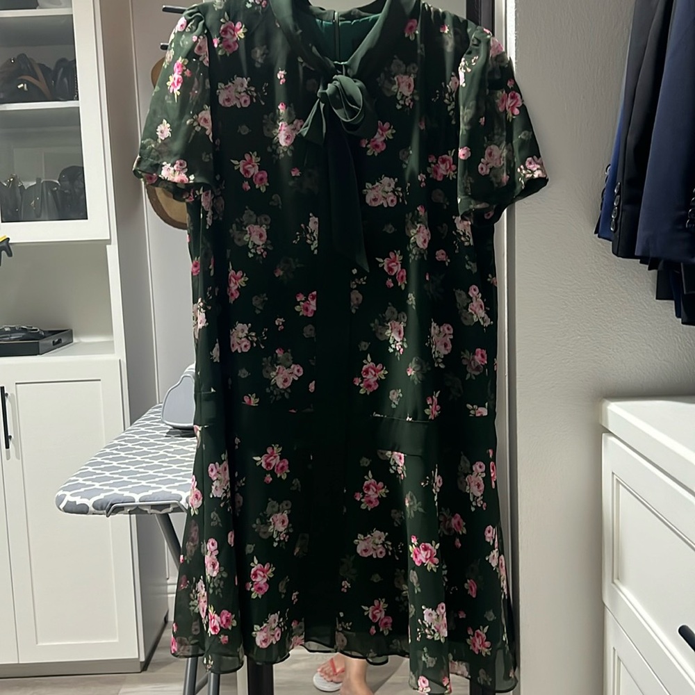 Alexia Admor dress, size S (fits S/M). Green with pretty pink flowers.NWOT.Cute!